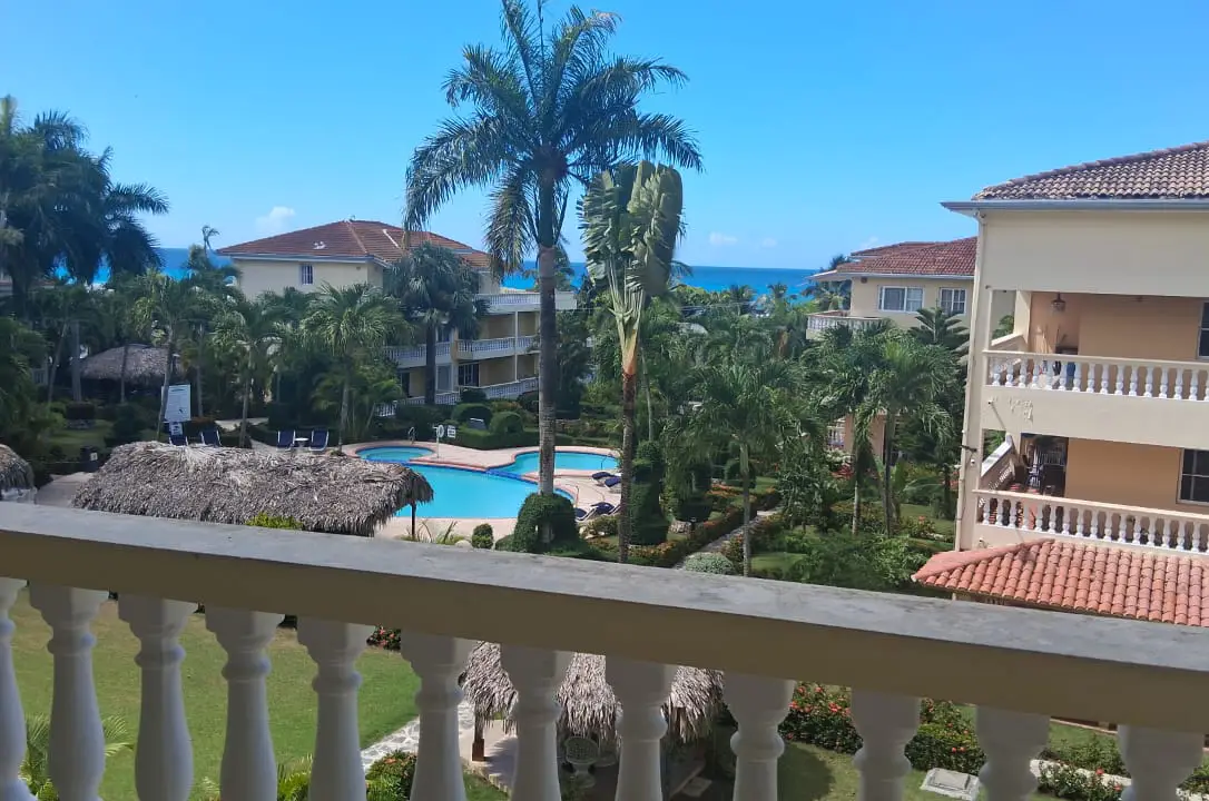 las palmeras boca chica